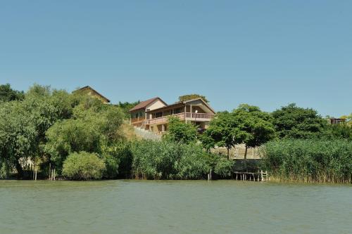 Sarichioi House | La Cupric