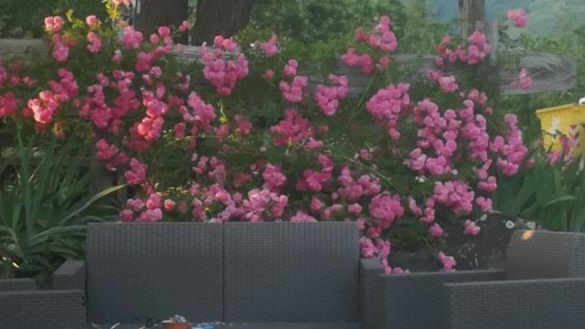Rocchetta di Vara House | la debbia ranch
