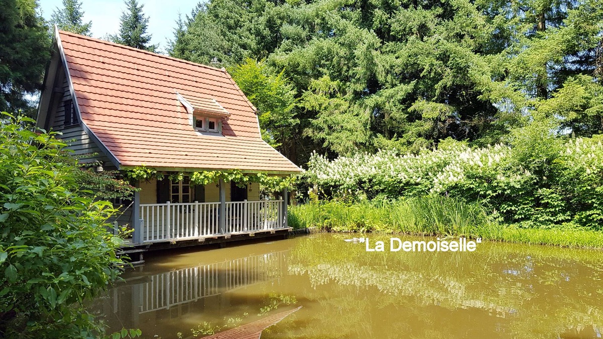 Strueth Ski Chalet | "La Demoiselle" Oct/Nov wonderful colours in the park-3 days possible