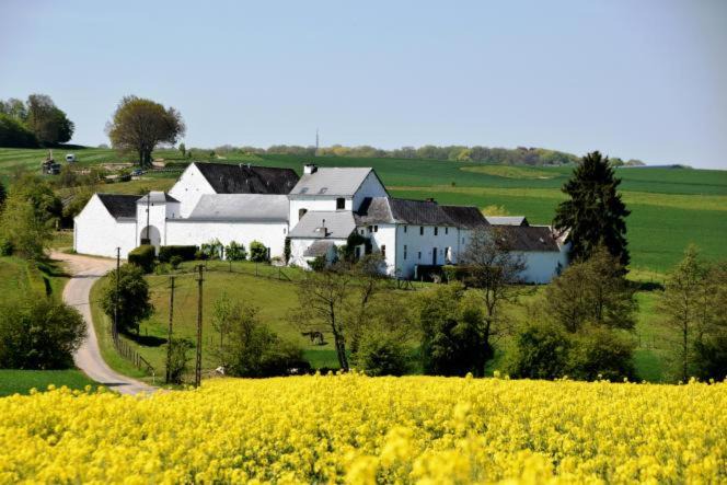 Gesves House | La ferme de Basseilles