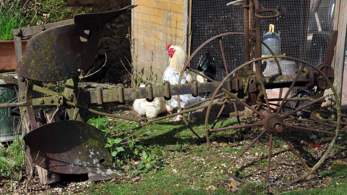 Evry Other | La Ferme de Flo' - Cochon - Double ou Twin Confort