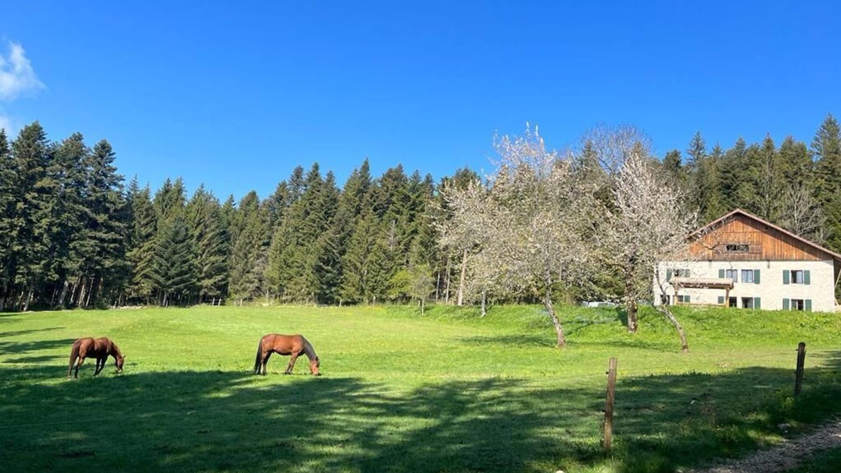 Plaimbois-du-Miroir Other | La Ferme des Brosses