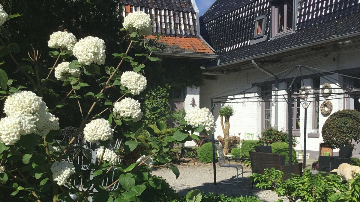 Sainghin-en-Weppes Bed & Breakfast | La Ferme Des Buis