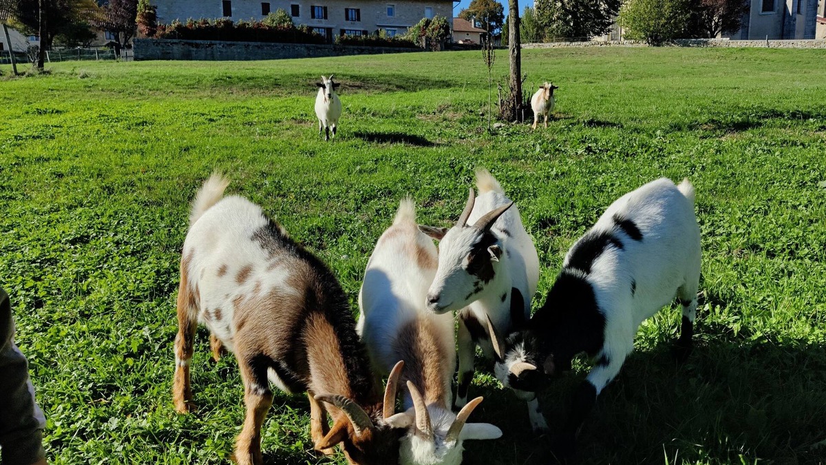 Aromas House | La Ferme des Tilleuls