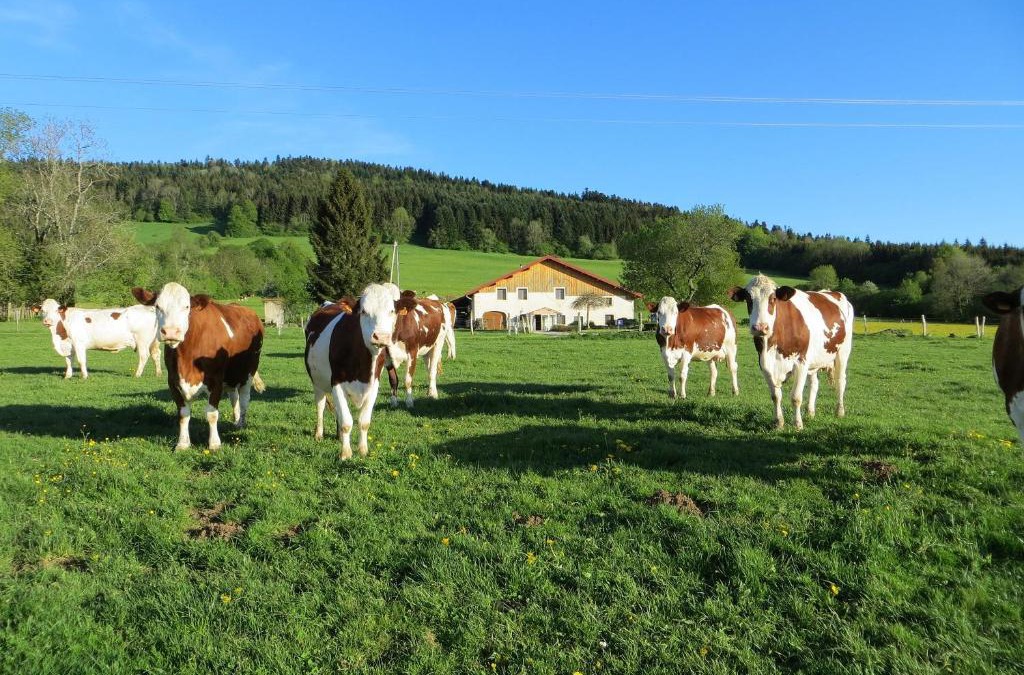 Pierrefontaine-les-Varans Bed & Breakfast | La ferme du bonheur