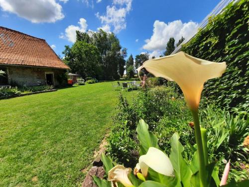 Rubrouck Bed & Breakfast | La Flandre entre plaine, mer et marais