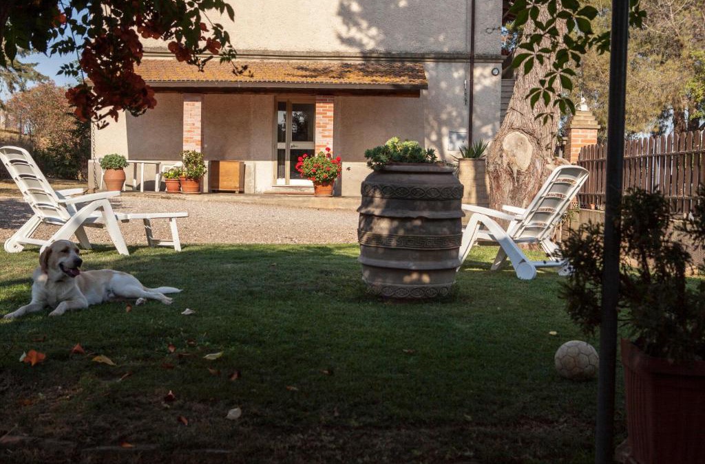 Campagnatico House | La Fondona