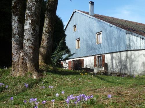 La Montagne Bed & Breakfast | La Fritillaire