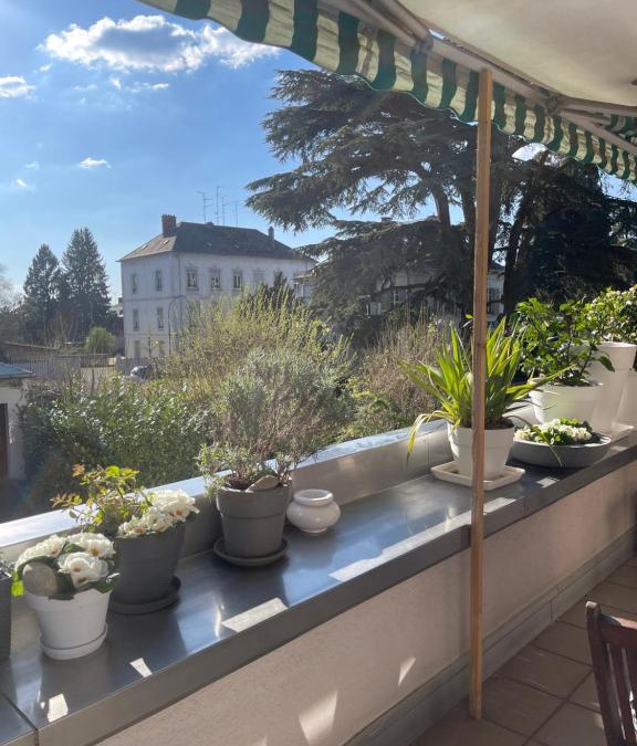 Mulhouse House | La galerie