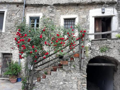 Erli Apartment | La Garbatella