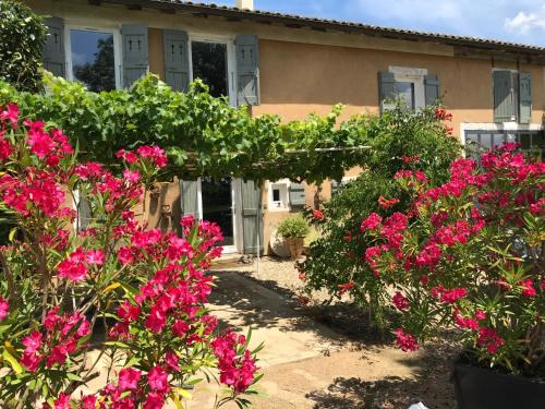 Villie-Morgon Bed & Breakfast | La Gatille