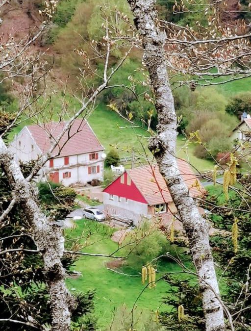 Walscheid House | LA GRANGE AUX 5 SENS