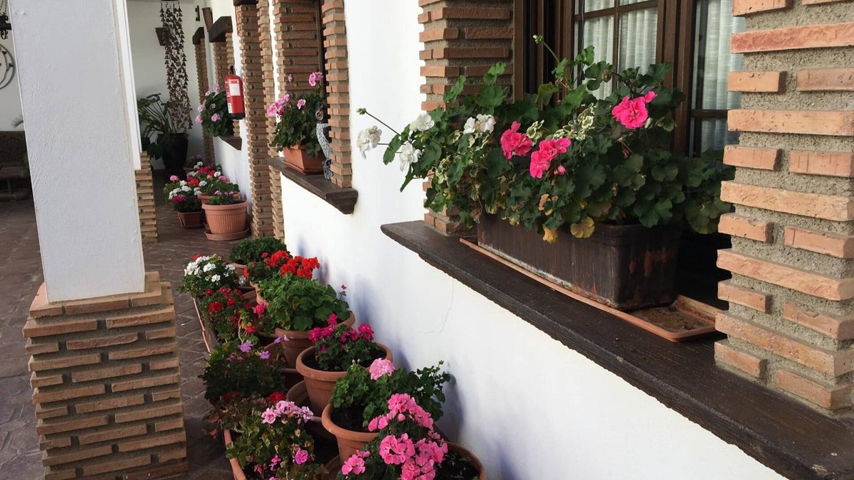 Albunan House | La Hacienda del Marquesado