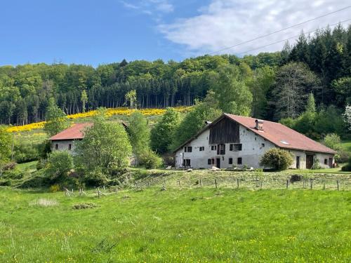 Tendon House | La Hutte
