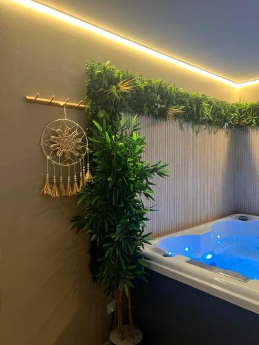 Tourcoing Apartment | La jacuzz’home