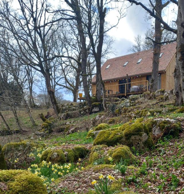 Gramat House | La jonquille