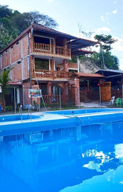 Pedro Ruiz Hotel | La jungla del Rey VIP Hotel