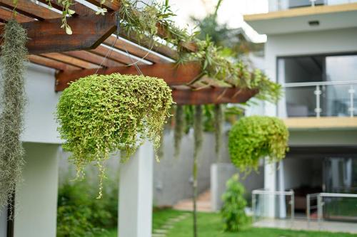 Deux Plateaux Apartment | La Jungle Urbaine au Vallon