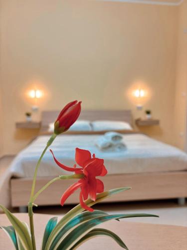 Galatro House | La Libellula - via Diaz 34
