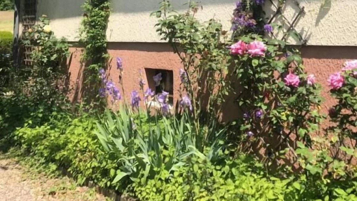 Drachenbronn House | La Maison Des Roses