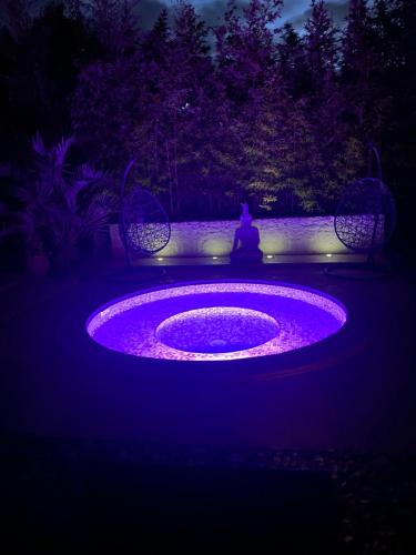 Dolus-d'Oleron Bed & Breakfast | La maison bleue