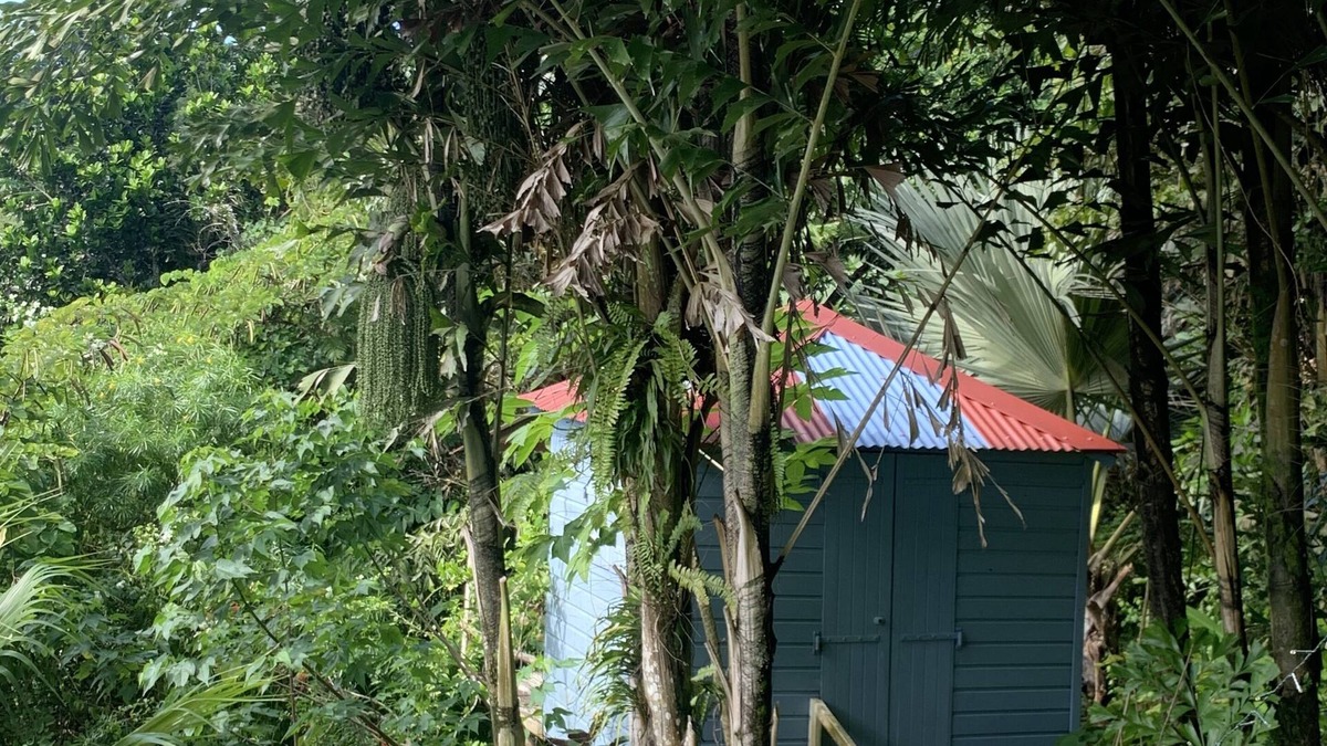 Le Vauclin Apartment | LA Maison Bleue Appt Colibri AU Milieu D'un Jardin Tropical