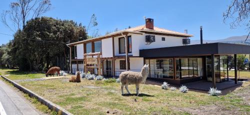 Guano Hotel | La Maison d'Urbina
