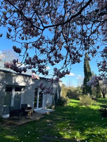 Douai House | La maison du jardin