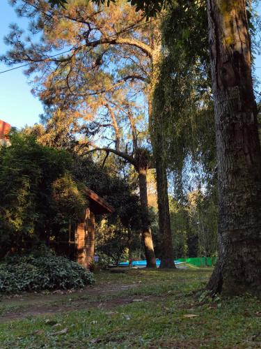 Yerba Buena House | La Manquel - Casa y Yungas