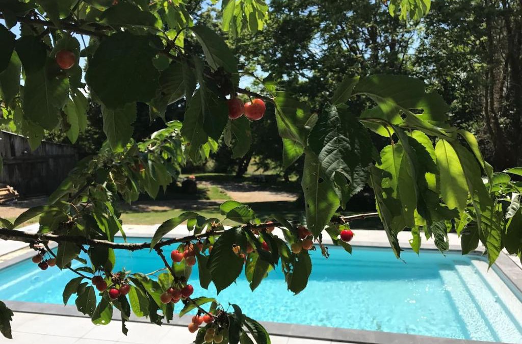 Villefranche-d'Albigeois Apartment | La Merise Gite