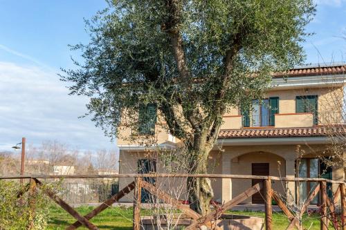 Morrovalle House | La Merlana affittacamere