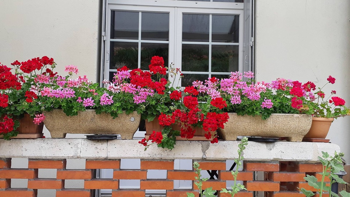 Mirambeau House | La Miramboise
