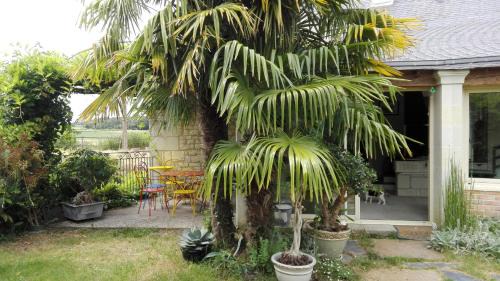 Les Ulmes Bed & Breakfast | La Motelle N 5