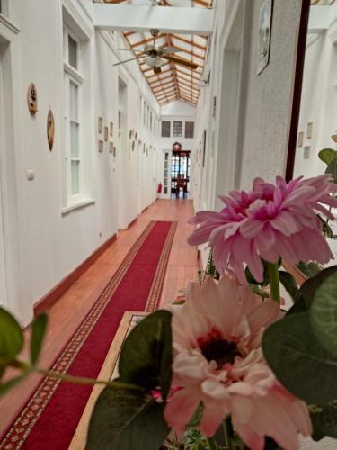 Valparaiso House | La Otra Vista