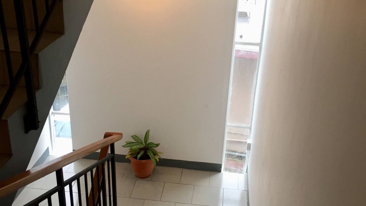 Forest Side Apartment | La Péninsule - Town Apartment in Curepipe 3