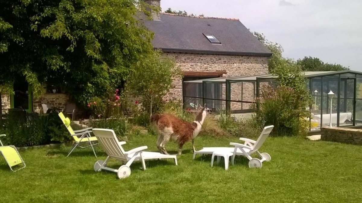 La Bouexiere Bed & Breakfast | La P'tit' Fugue