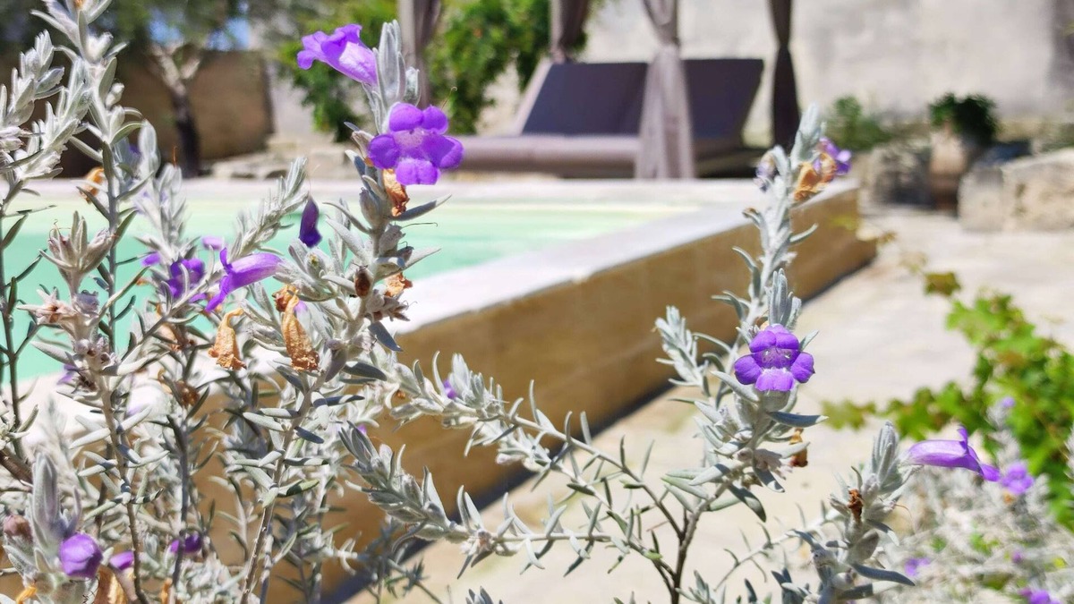 Cannole Bed & Breakfast | La pajera masseria Asteri deluxe suite