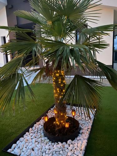 La Lastrilla House | La Palmera del Sotillo