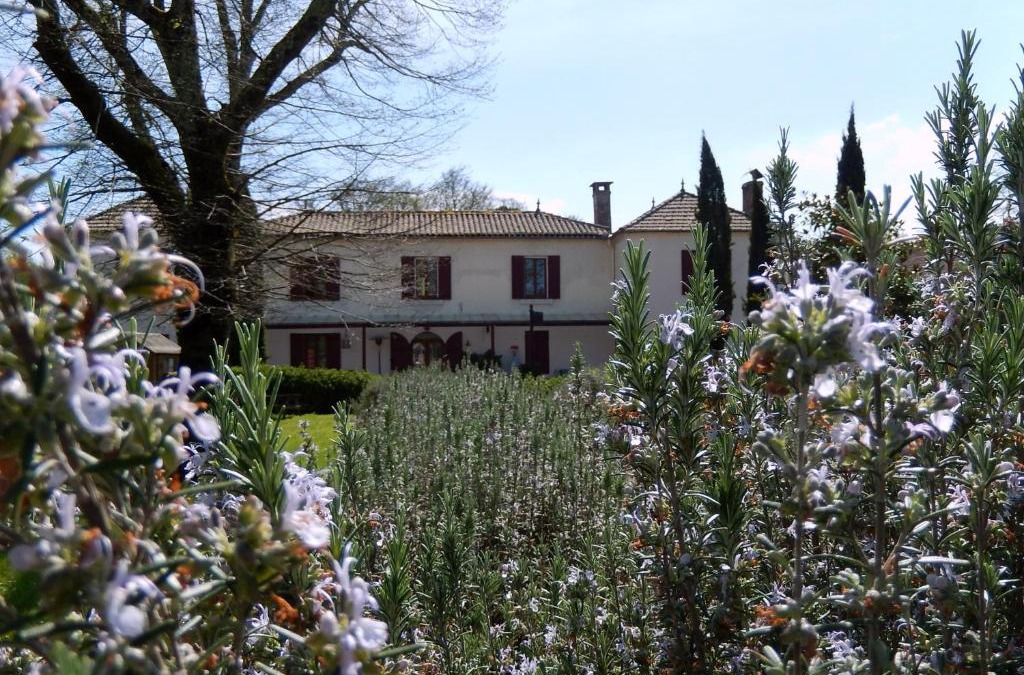 Lucmau Bed & Breakfast | La Palombiere
