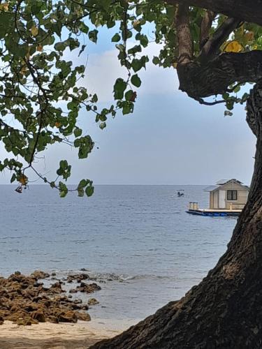 Pemuteran Bed & Breakfast | La Paparrucha Bali