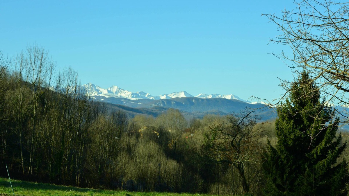 Rimont Other | LA Pensee Sauvage, Spacieux Gite Avec Piscine Ressourcement Auprès des Plantes