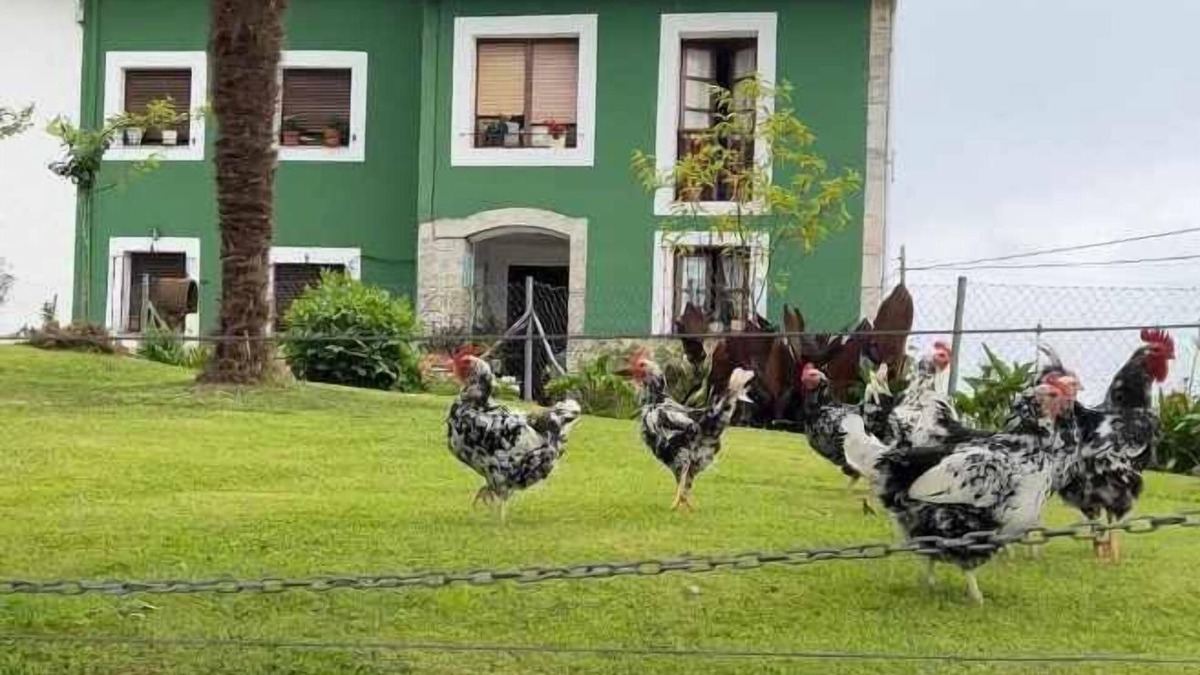 Noriega House | La Pereda Rural House