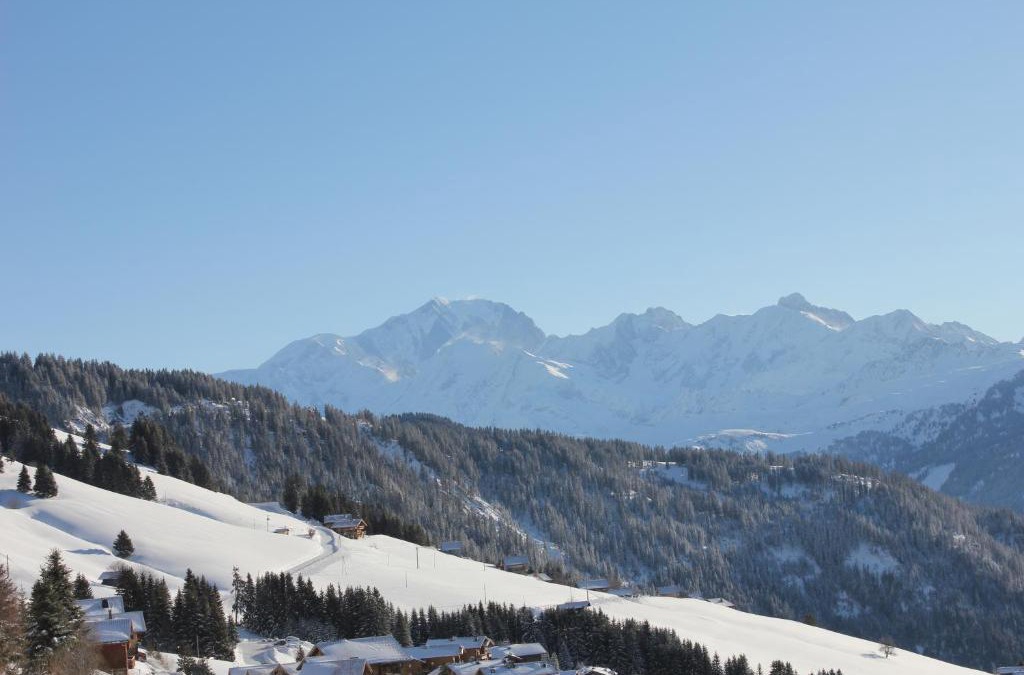 Bisanne 1500 Apartment | La Perle Des Alpes C2