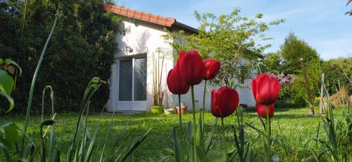 Saint-Remy-les-Chevreuse House | La Petite Maison