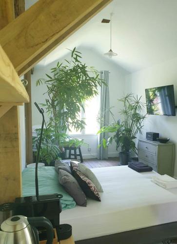 Dourdan Bed & Breakfast | La petite maison du jardin d'Apollon