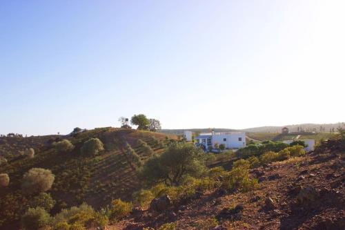 Sidi Bettache House | La petite maison sur la colline - Benslimane