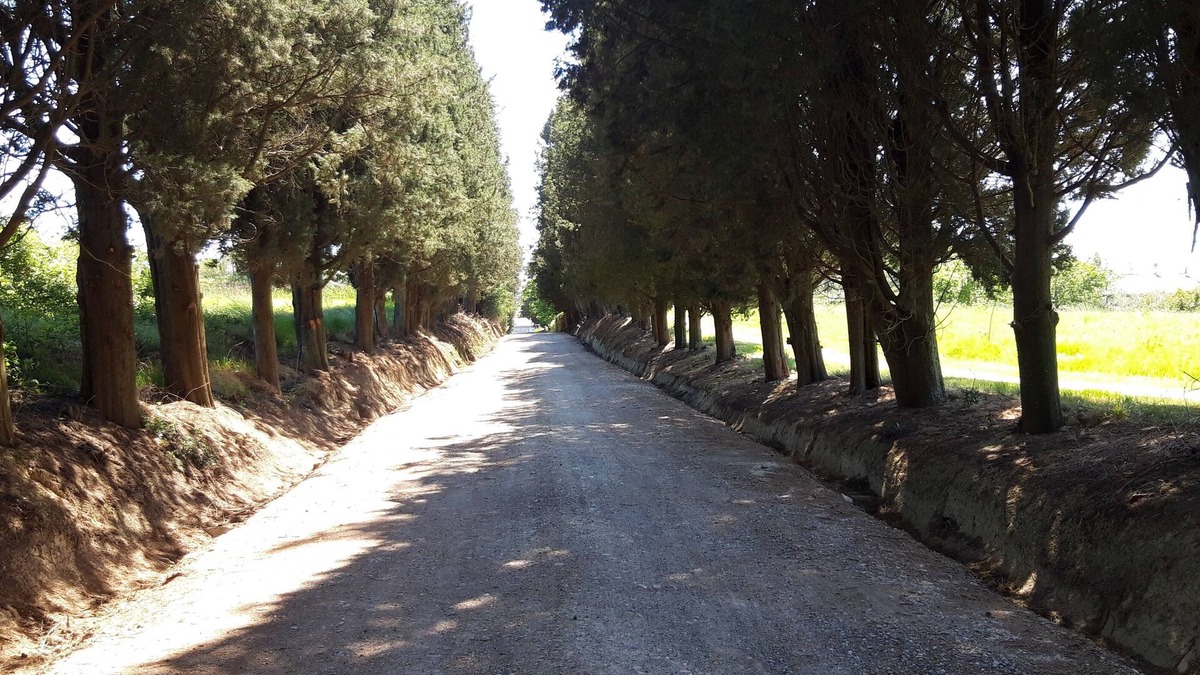 Orciano Pisano House | La Pieve Vecchia house, Rubino apartment