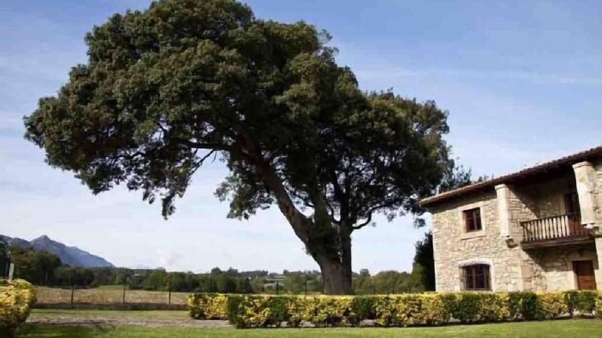Villahormes Cottage | La Piniella Village House for 10 people