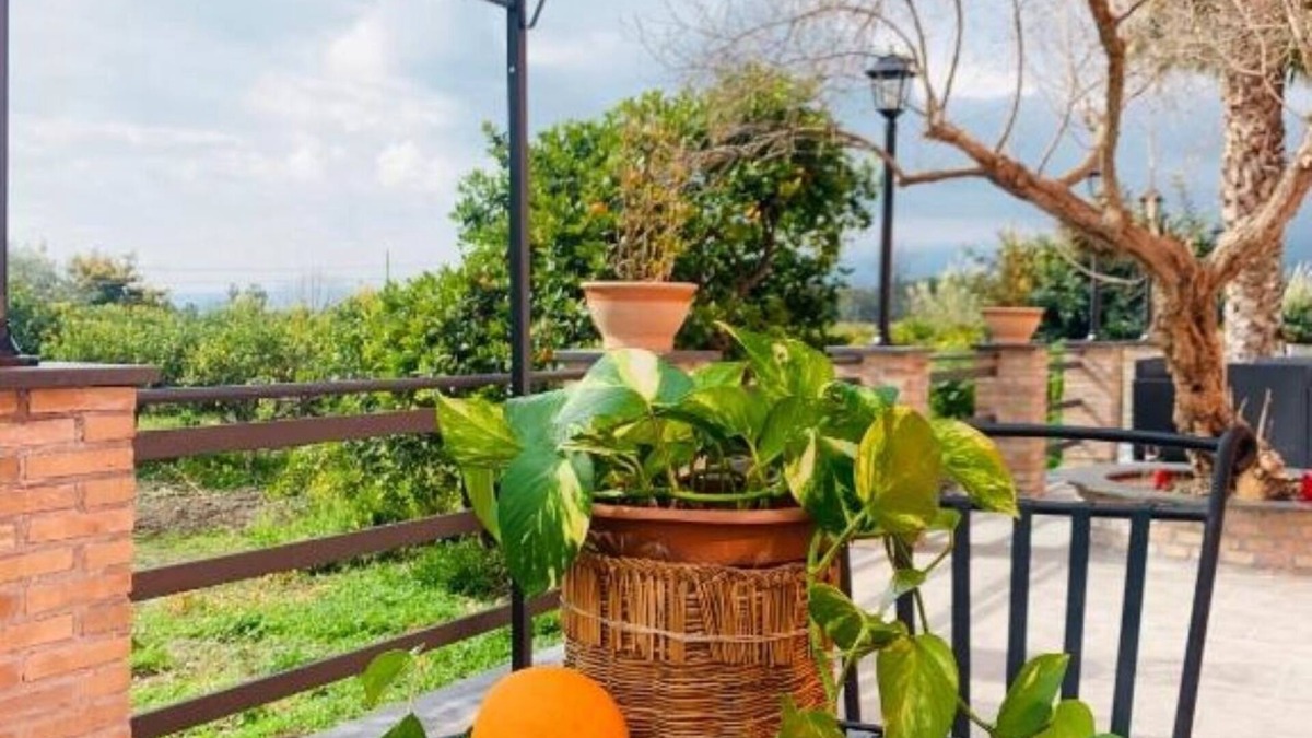 Chianchitta-Trappitello Bed & Breakfast | La Pomelia B&b Sofia - La Foresta