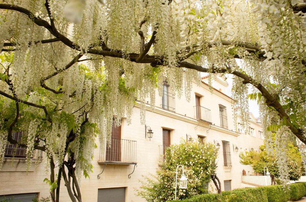 Cazalla De La Sierra Hotel | La Posada del Moro